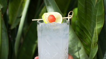 Tom Collins