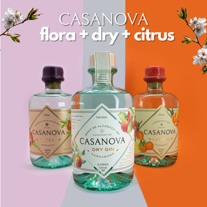 Pack 3x Casanova 50cl