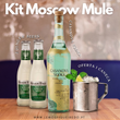 Carregar imagem no visualizador da galeria, Kit Moscow Mule
