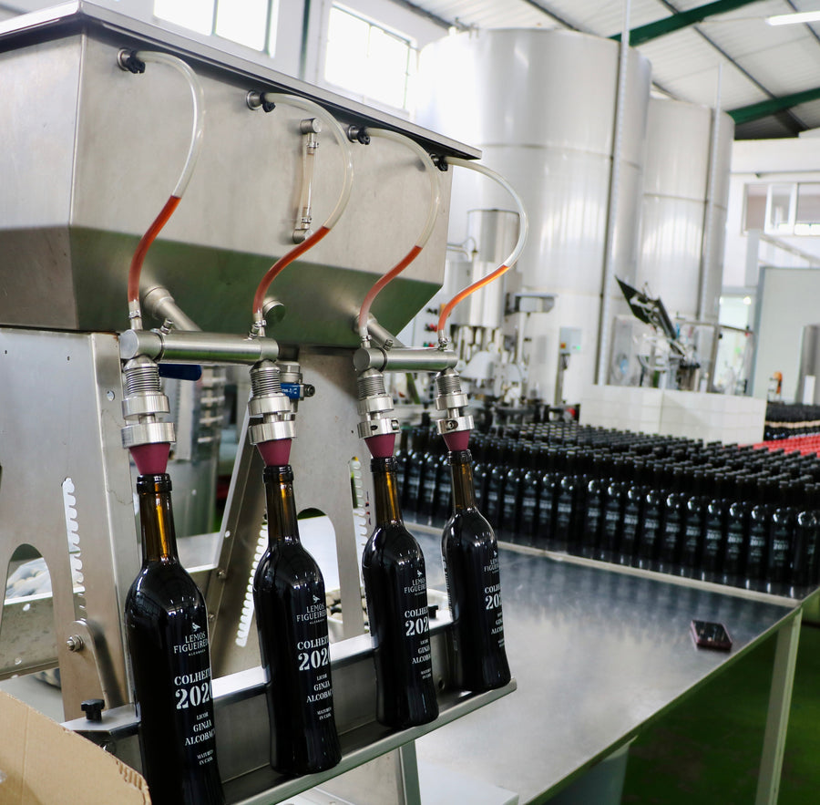 Ginja Lemos Figueiredo