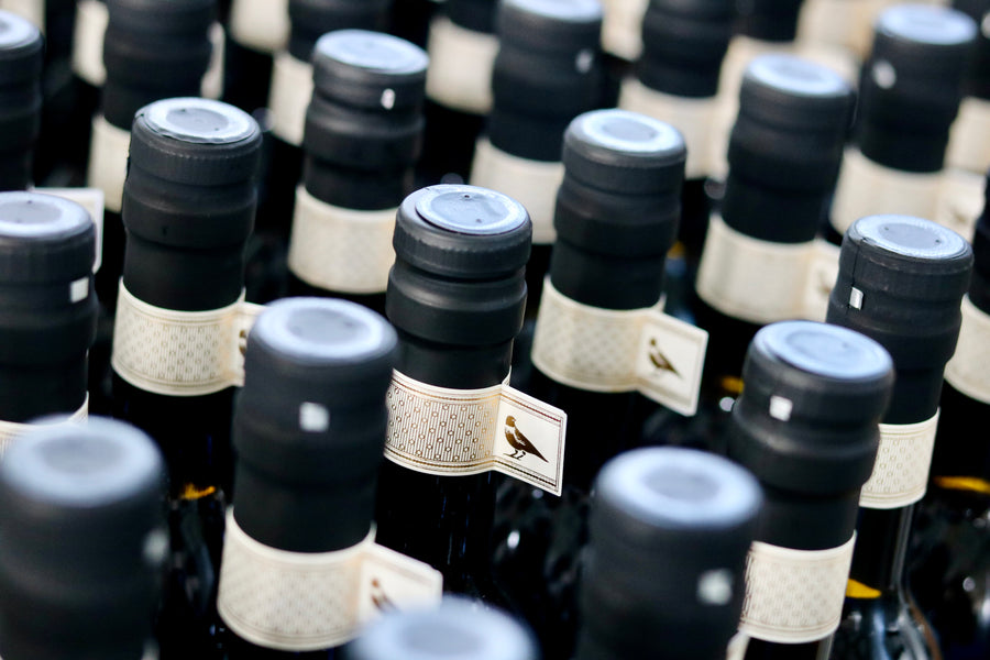 Set Ginja Lemos Figueiredo  - Reserva 2019