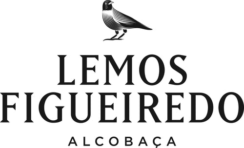 Lemos Figueiredo | Adega das Frutas de Alcobaça